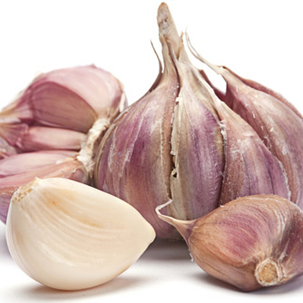 Garlic Reduces Severity of Colds & Flu