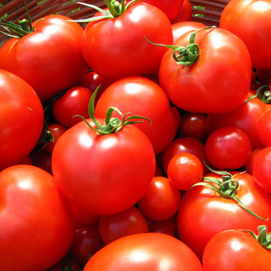 Tomato Compounds Promote Healthy Skin