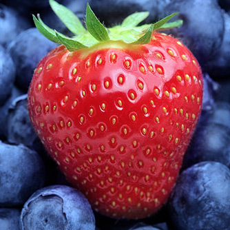  Berry Compound Linked to Longevity