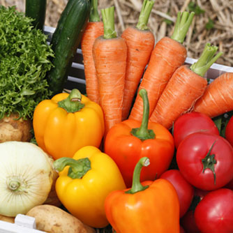 Healthy Diet for Healthy Aging