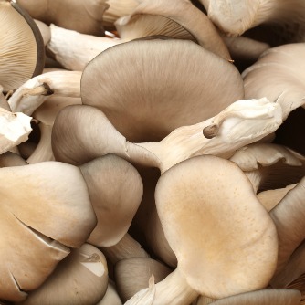 Mushrooms for Diabetes