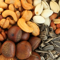 Nuts Seeds