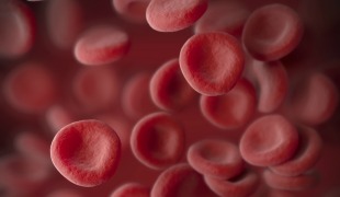 Slowing the Aging Process with Blood Transfusions