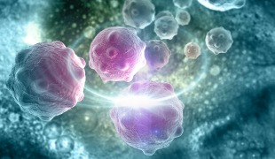 Immunotherapy May Accelerate Tumour Growth