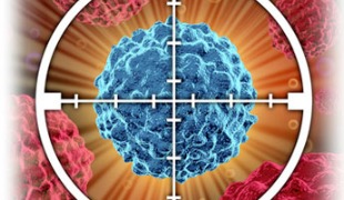 Nanodiscs Target Tumors