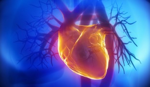 Selenium and CoQ10 Combo Cuts Heart Disease Deaths in Half