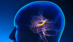 Head Injuries Increase Risk of Brain Diseases