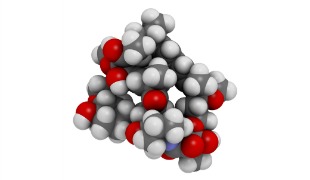 Pan-mTOR Inhibitors Superior to Rapamycin Anti-Aging