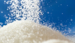 Erythritol Identified as Marker for Weight Gain