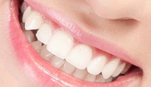 Stem Cells Induce Teeth to Self-Repair