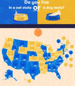 cat or dog state credit time2play.com.