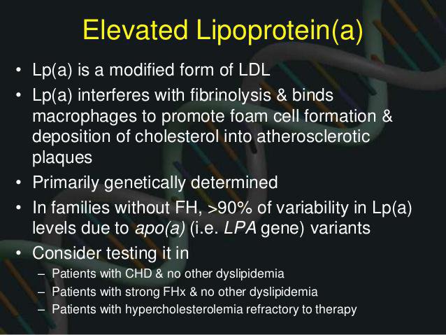 elevated lipoprotein Kahn Center