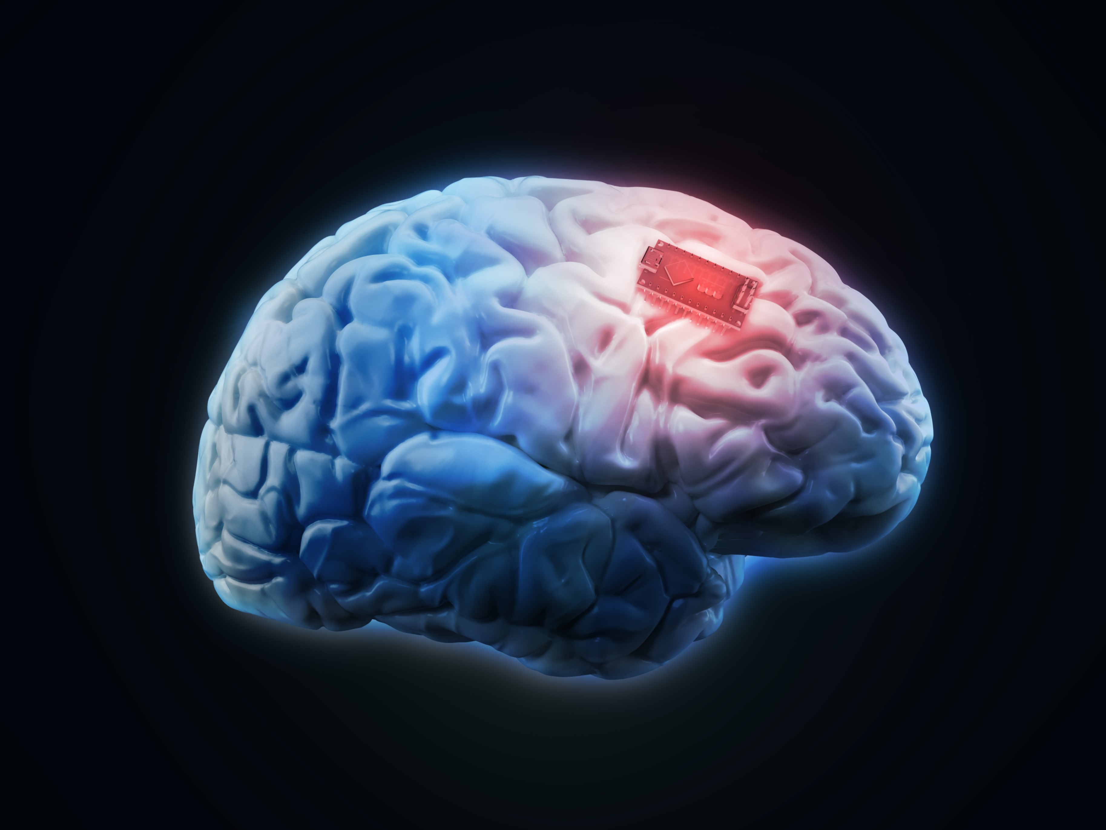 Как появился мозг. Головной мозг. Имплантация чипа в мозг.