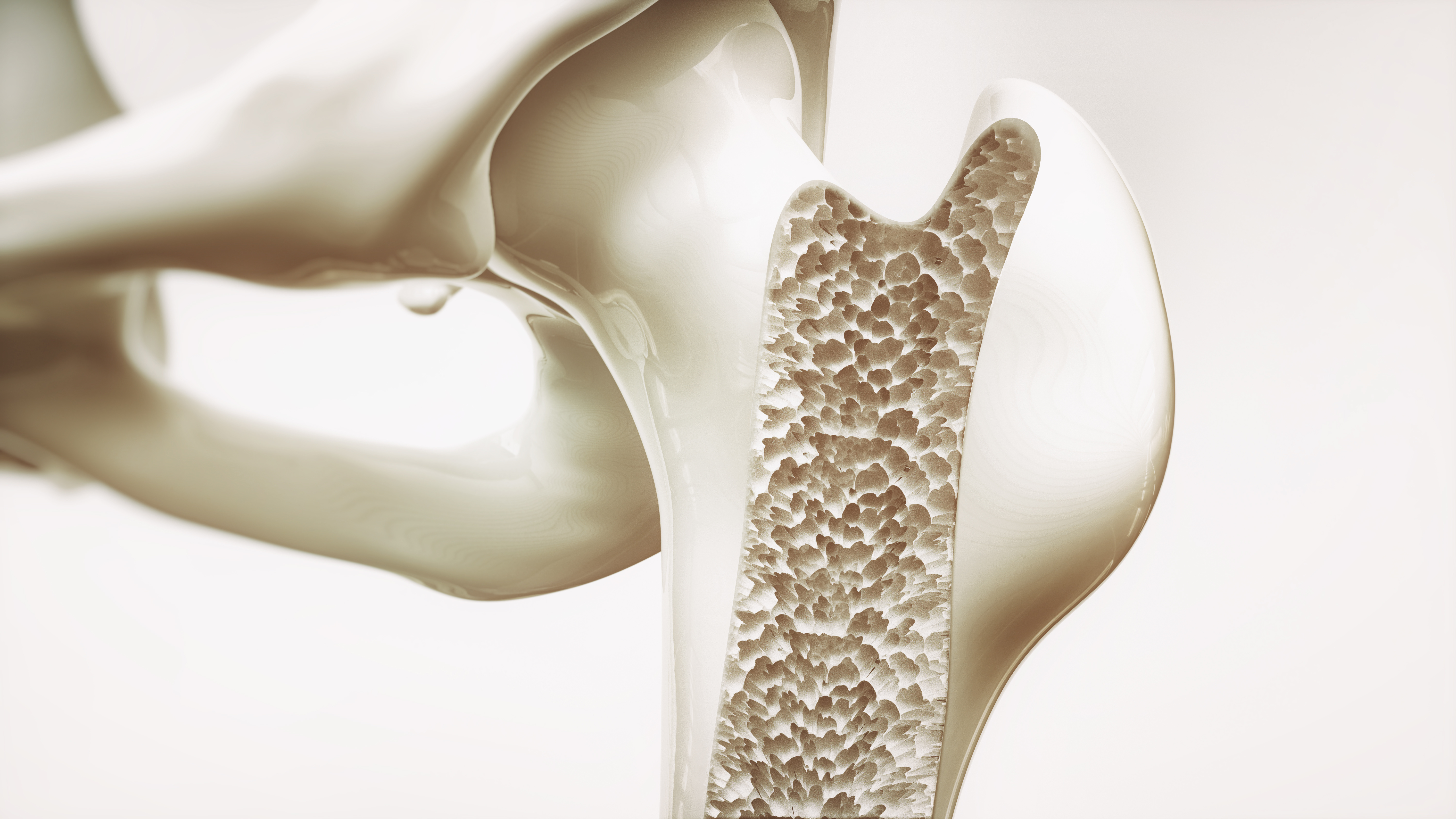 Magnesium May Help To Prevent Osteoporosis